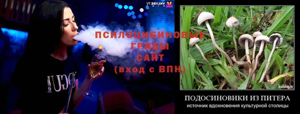 первитин Горняк