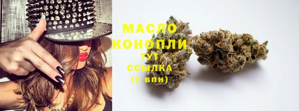 первитин Горняк