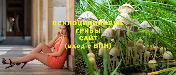 крисы Горно-Алтайск